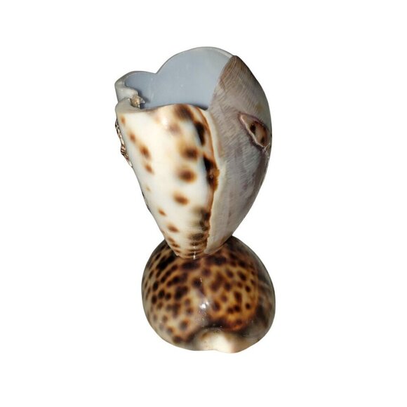 Vintage Cowrie Shell Toothpick Holder Beach House Decor Souviner Collectible - Picture 5 of 9